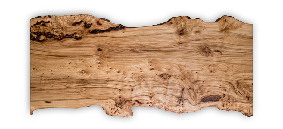 Tischplatte aus Ulmenholz mit Waldkante