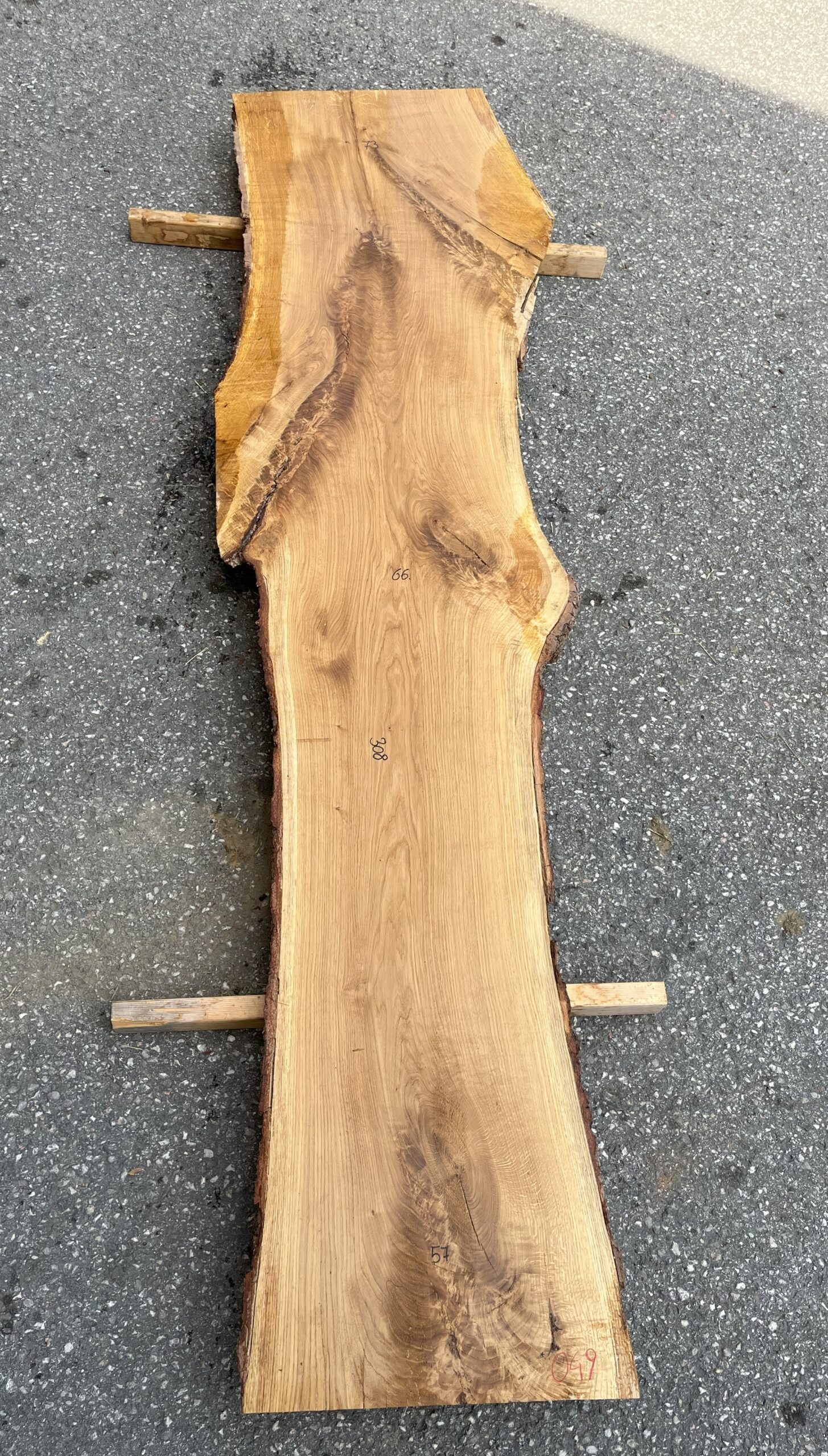049 EICHE
