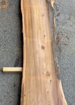 068 ULME
